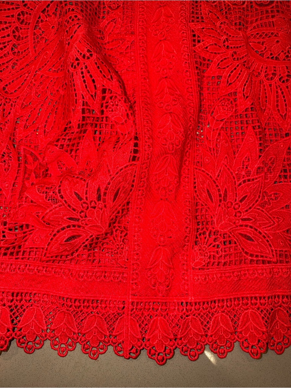 FARM Rio Toucan Red Guipure Crochet Midi Skirt - Picture 10 of 13